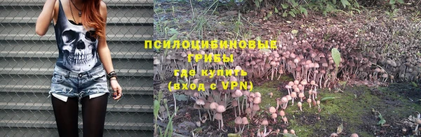 гидропоника Магас