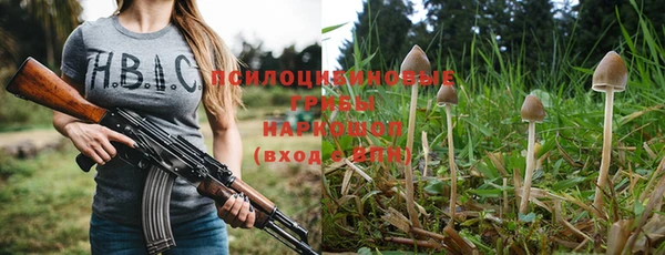 гидропоника Магас