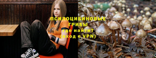 гидропоника Магас