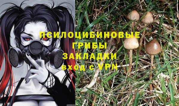 2c-b Майский