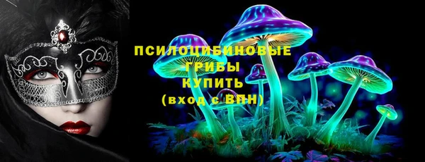 гидропоника Магас