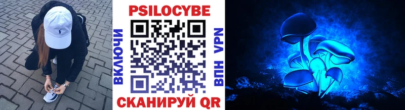 Псилоцибиновые грибы MAGIC MUSHROOMS Хвалынск